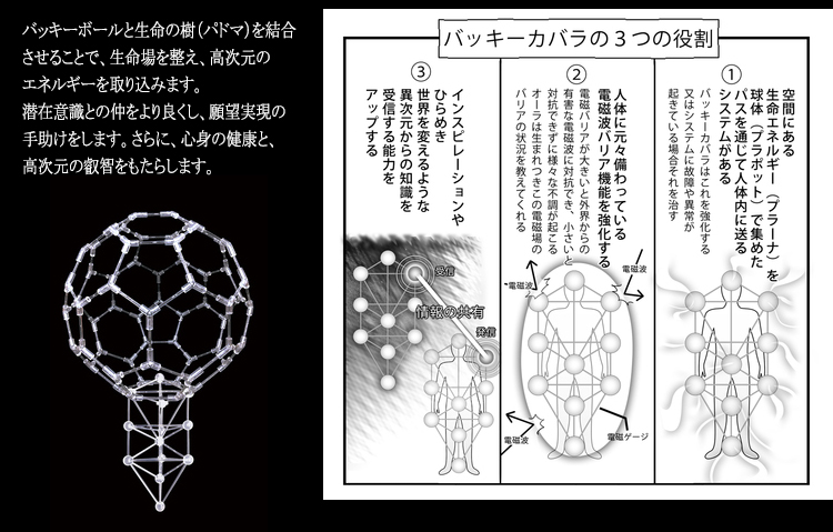 バッキーボール(組立式)+パドマ